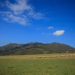 Il Ginepro *