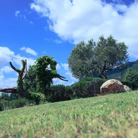 Il Ginepro Fluminimaggiore